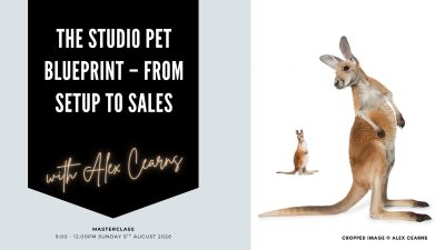 MASTERCLASS: THE STUDIO PET BLUEPRINT – FROM SETUP TO SALES