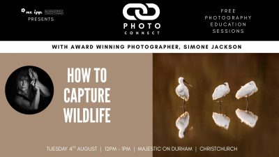 How to Capture Wildlife with Simone Jackson